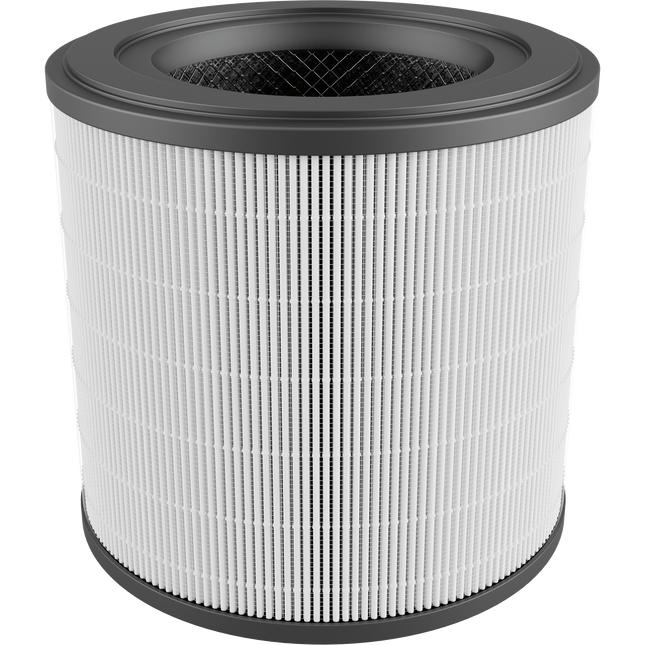 Electrolux Replacement HEPA13 Clean Filter for Ultimate Home 300 Air Purifier EFFCLN2